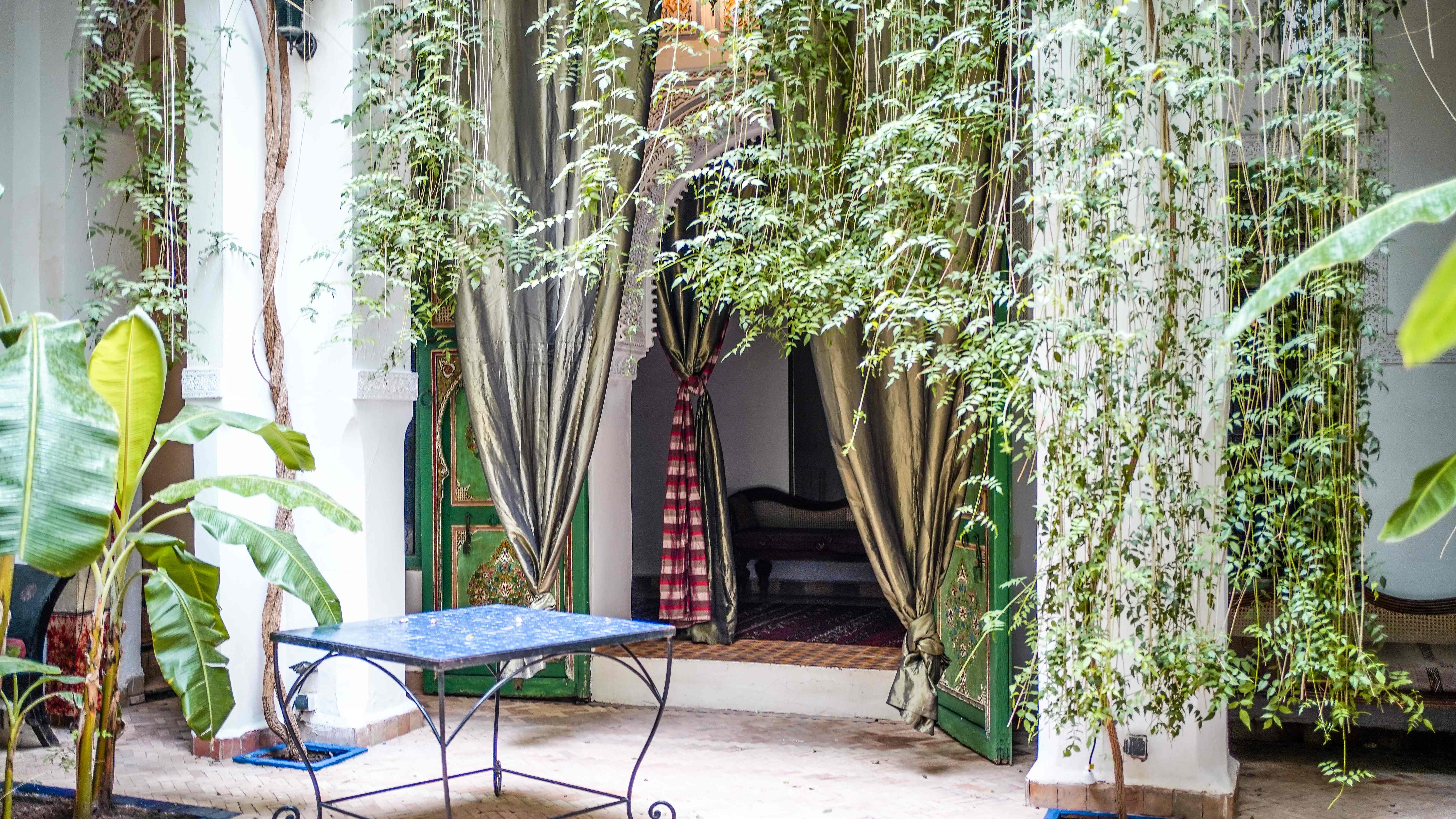 Cour verdoyante avec plantes et table bleue